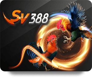 เคล็ดลับการเดิมพันบอลอิตาลีผ่าน 12Bet ที่คุณไม่ควรพลาด